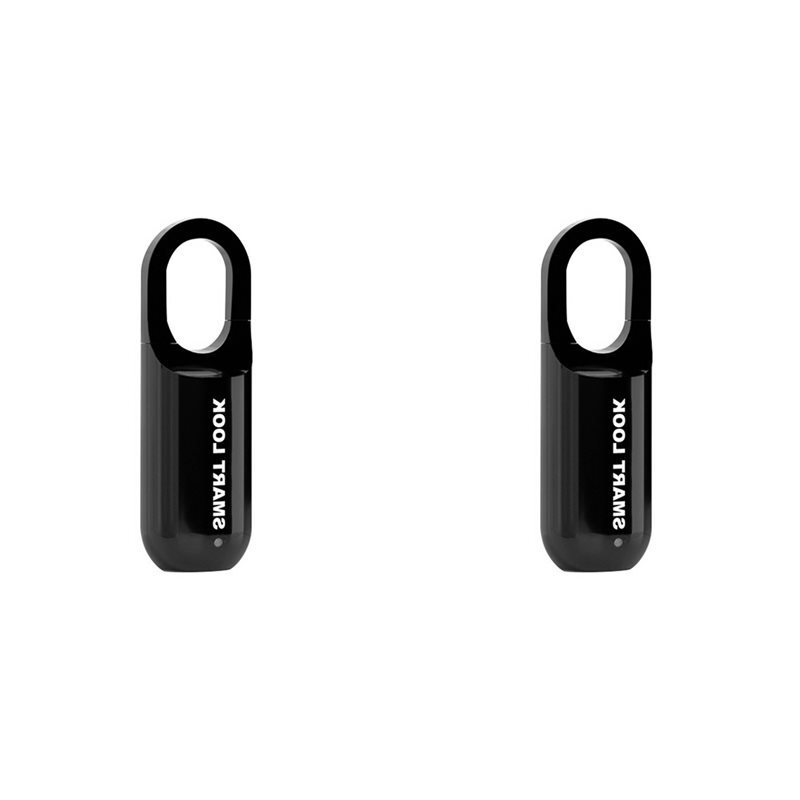 Smart Home Lock - Lucchetto con impronta digitale BAAE 2X
