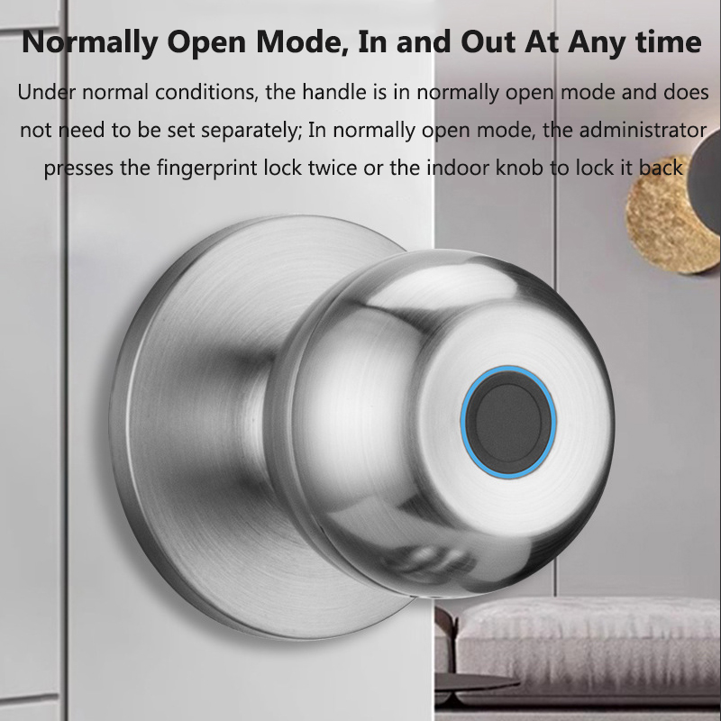 Tuya Serratura Smart Fingerpri - Smart Home Lock recensione e prezzo