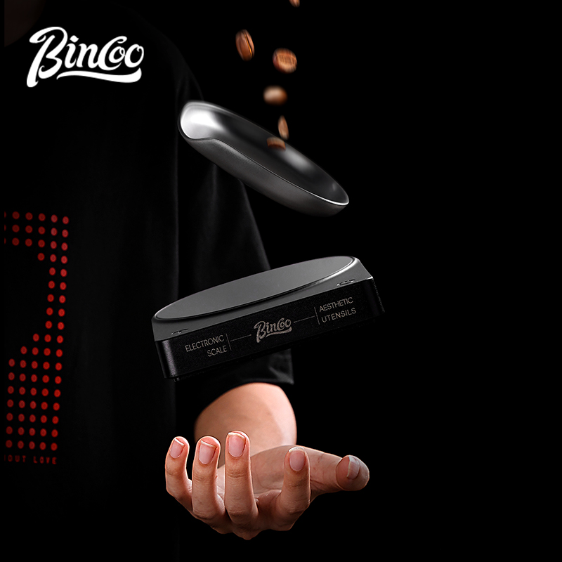 BINCOO Bilancia digitale per c - Smart Home Uses recensione e prezzo