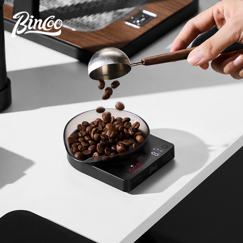 BINCOO Bilancia digitale per c - Smart Home Uses recensione e prezzo