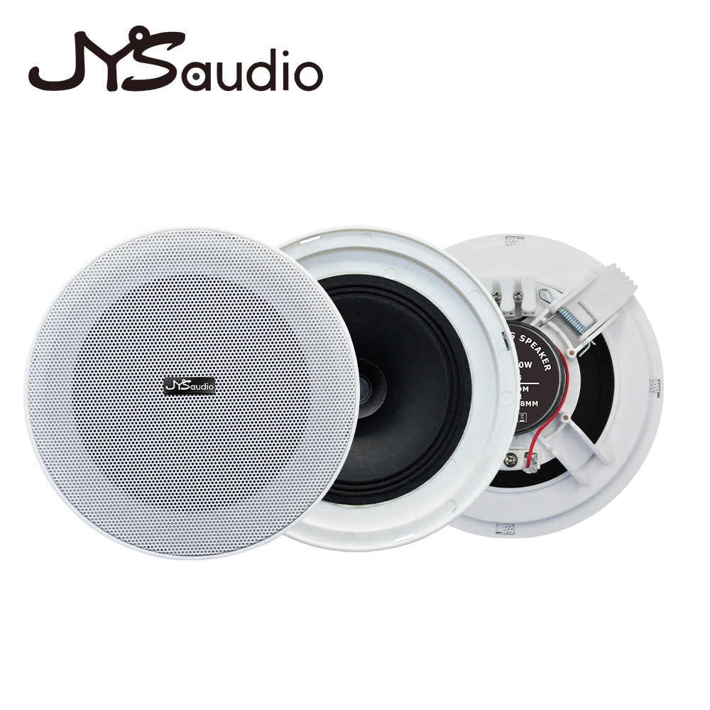 Altoparlante da soffitto senza - Smart Home Speaker recensione e prezzo