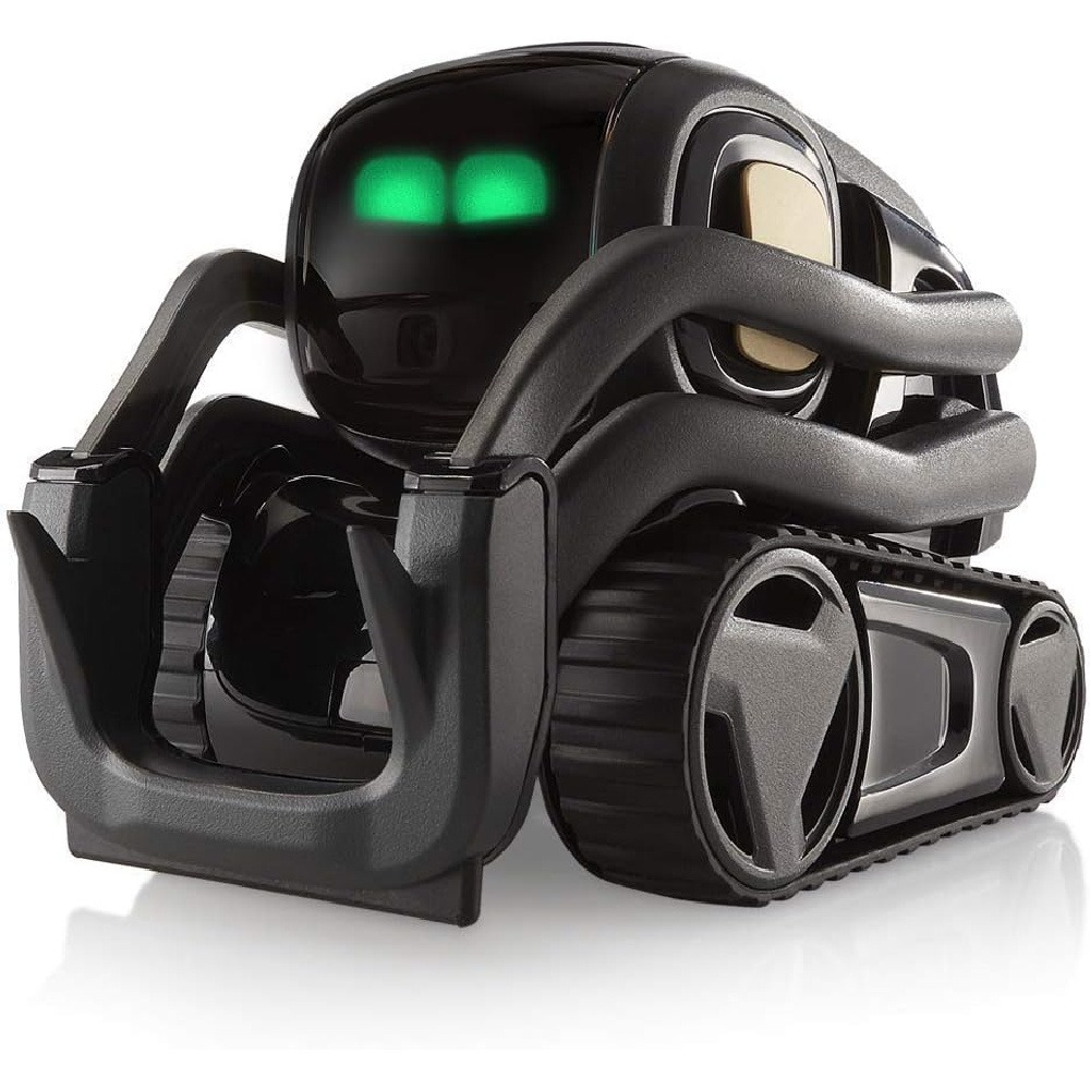 Robot Compagno Intelligente AI - Smart Home Voice Control recensione e prezzo