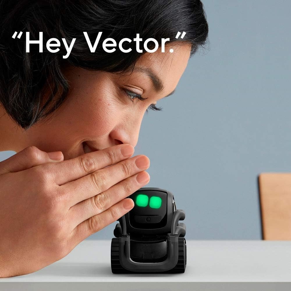 Robot Compagno Intelligente AI - Smart Home Voice Control recensione e prezzo