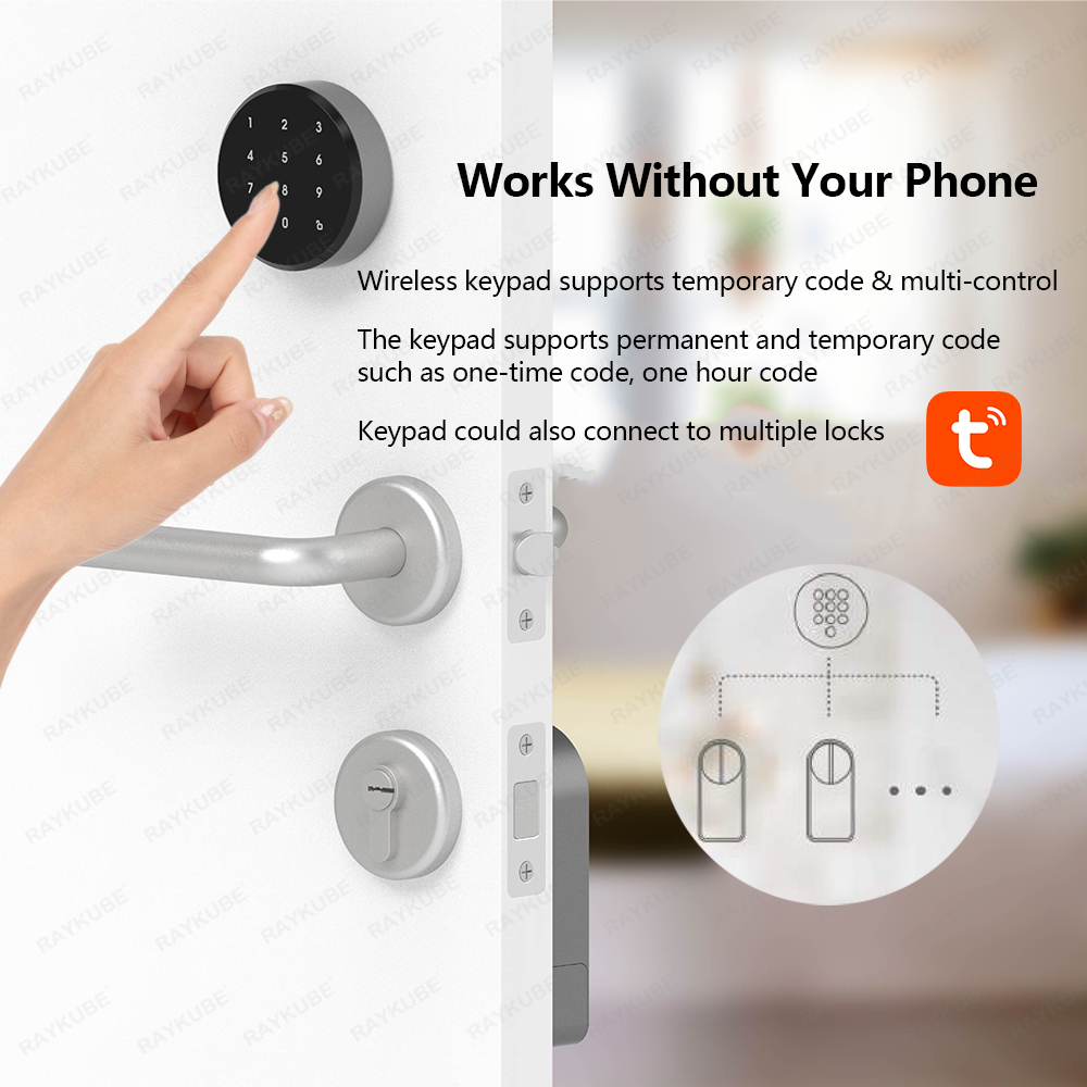 RAYKUBE A1 Pro Tuya BEL Set se - Smart Home Lock recensione e prezzo