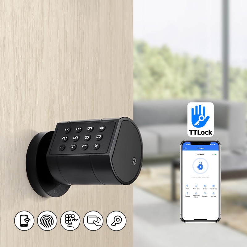 Smart Euro Serratura cilindric - Smart Home Lock recensione e prezzo