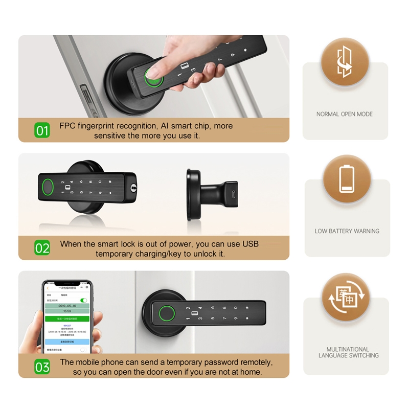 Serratura Intelligente WiFi co - Smart Home Lock recensione e prezzo