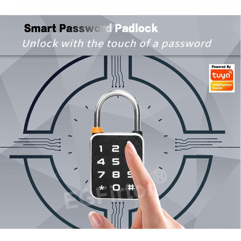 Tuya Bluetooth APP Codice pass - Smart Home Lock recensione e prezzo