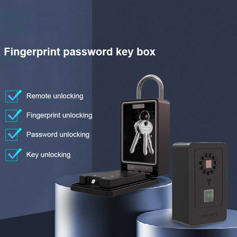 Cassetta di Sicurezza Intellig - Smart Home Lock recensione e prezzo